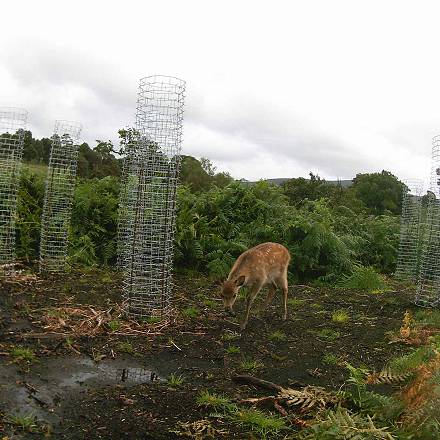 Wicklow Mountains National Park