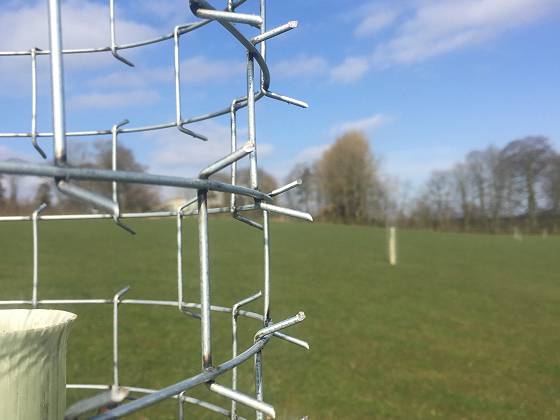 Spikes and cage are strong